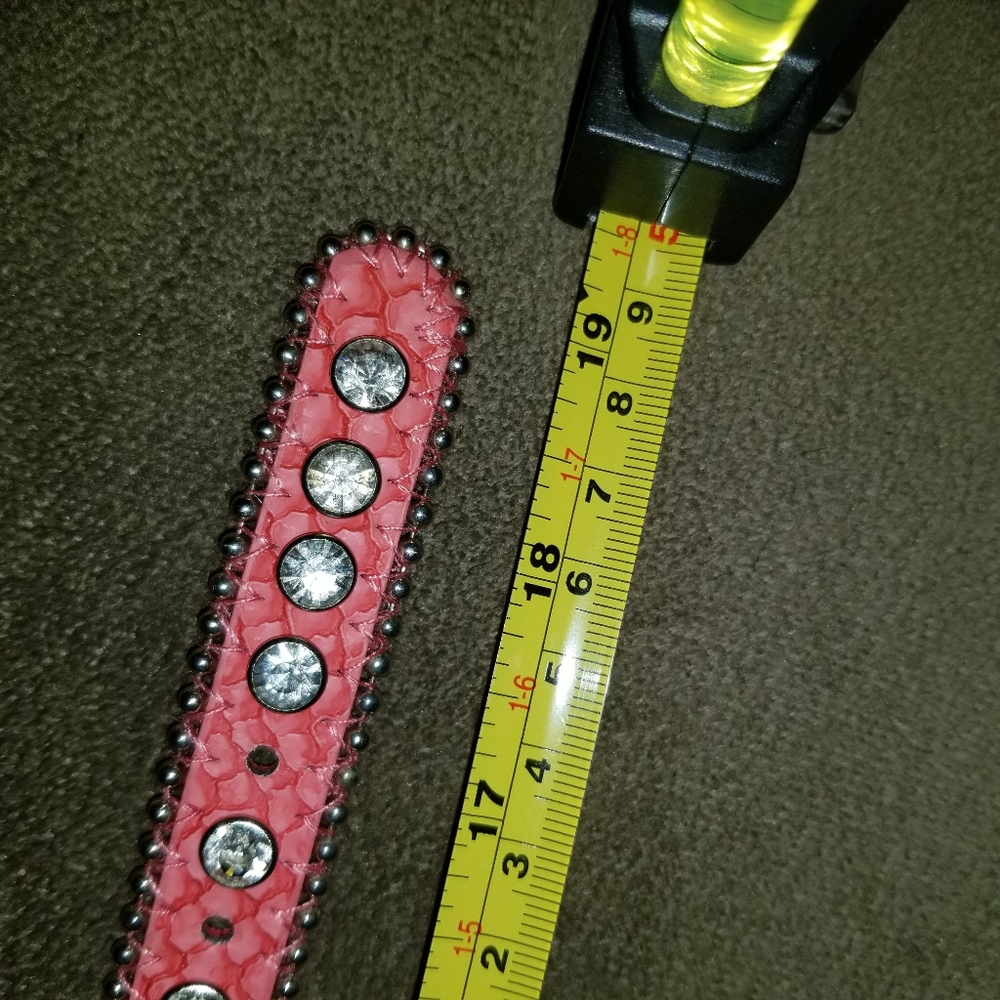 19" Dog Collar